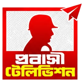 Probashi Television logo